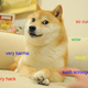 Image for article titled Millions of Meme-Based Dogecoins Stolen on Christmas Day